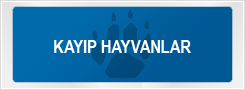 Kayıp Hayvanlar